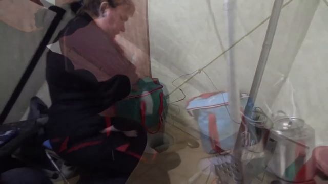 рождественская корюшка