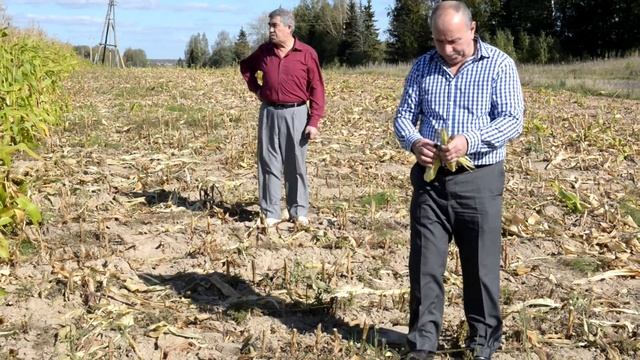 2015.09.19 - Родниковский район - Парская Ярмарка смотреть онлайн