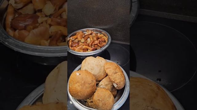 А ВЫ ЛЮБИТЕ ГРИБЫ? смотреть онлайн