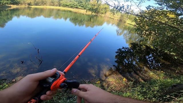 Jig Fish and Wack Hooksets |Pond Fishing| смотреть онлайн