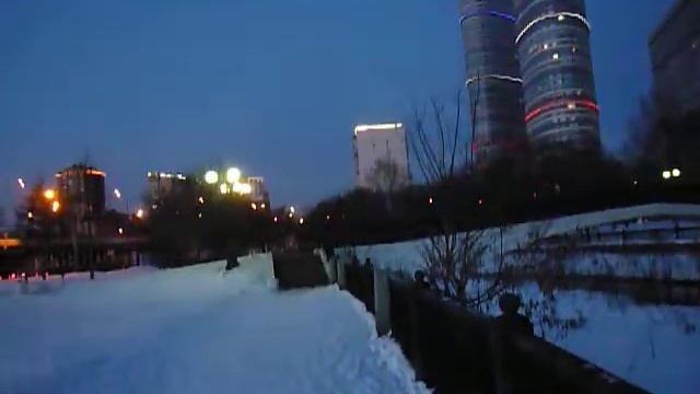 Белые медведи в Ростокине (Москва)