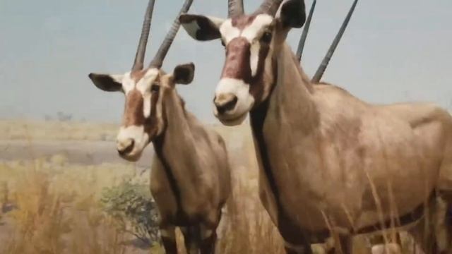 Американский музей естественной истории и его обитатели смотреть онлайн