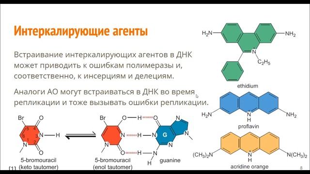 Молекулярная биология. Нуклеиновые кислоты. Рюмина Екатерина Д. Семинар 1-5-1 смотреть онлайн
