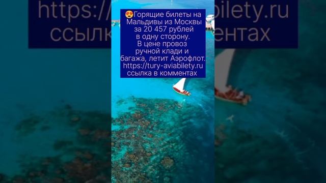 😍Горящие билеты на Мальдивы из Москвы за 20 457 рублей в одну сторону.В цене провоз багажа и клади смотреть онлайн