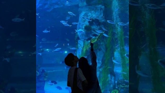 Ulukmanapo-Летали