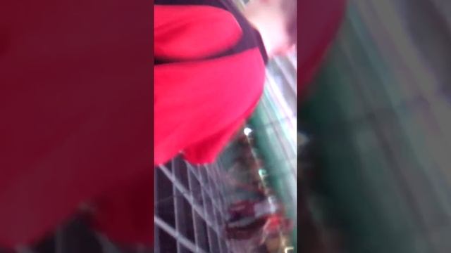 Зеркальный лабиринт. Взгляни на мир по-новому!(1) смотреть онлайн