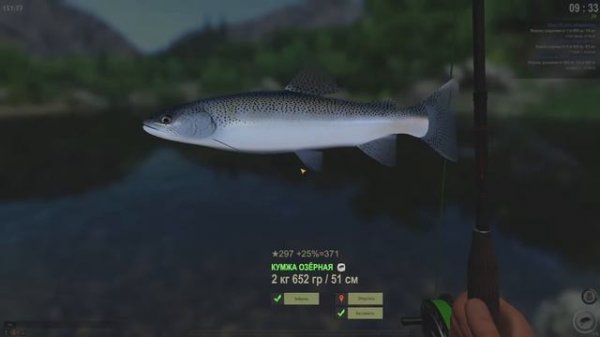 Fisher Online. Карпаты.