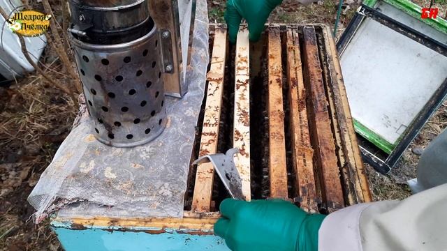 ПЧЕЛОВОДСТВО, итог зимовки с пустым корпусом сверху смотреть онлайн