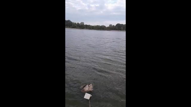 Отдых таксиста из глубинки