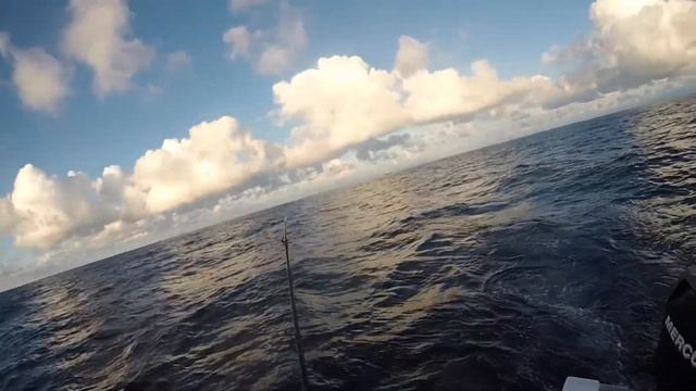 fishing puerto vallarta смотреть онлайн