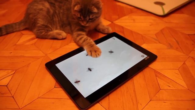 Лорена Арнольдовна играет на планшете смотреть онлайн