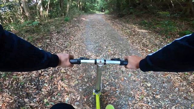 DAHON DOVE PLUS 2020 with Schwalbe Big Apple 14×2.00 林道(Forest road) 2021/5/2 смотреть онлайн