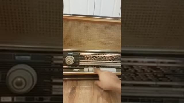 Saba Radio 1960 Germany