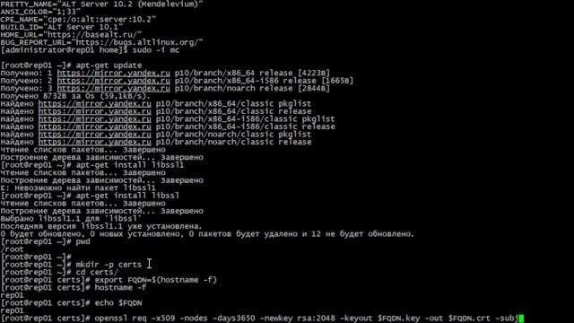 Создание простого самоподписаннного сертификата с использованием OpenSSL