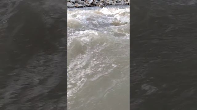 Фортанга. Бамут