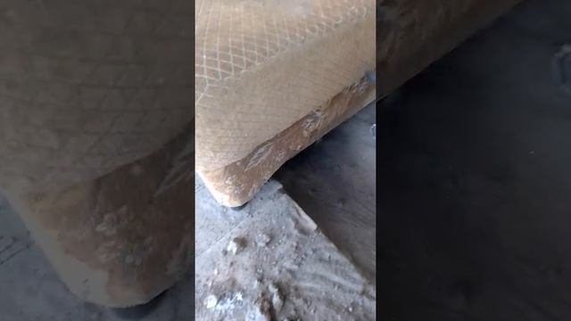 Собака ВЕО ищет бабайку смотреть онлайн