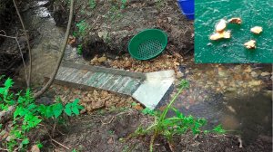 По тихому мою Золото минишлюзом в ручье!