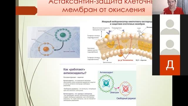 Астаксантин от Орифлейм - надежная и мощная защита иммунитета смотреть онлайн