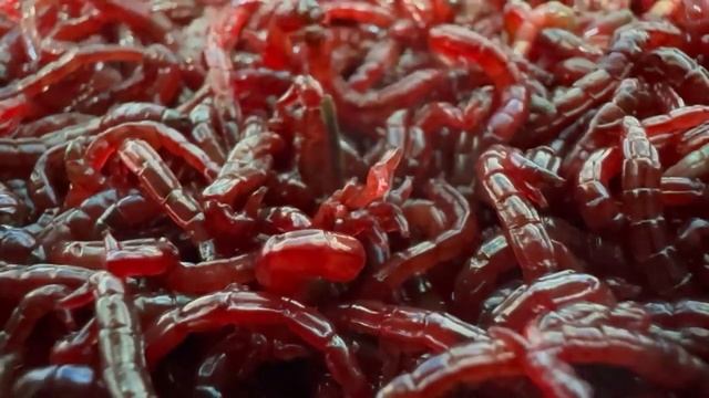 Уральский мотыль от "Удача+" смотреть онлайн