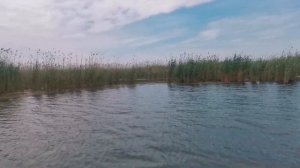 Ловля щуки в апреле 2023г #щука#весной #весеннийжер#щуки #щуканаспиннинг