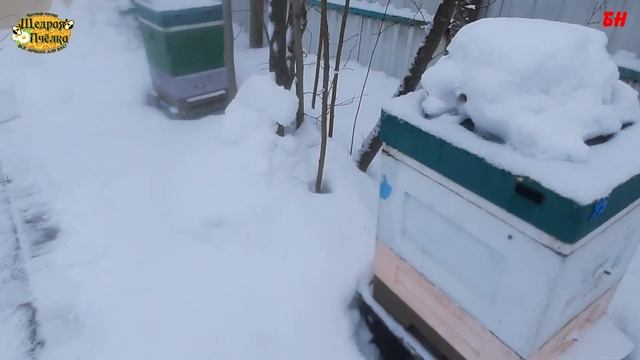 какие улья лучше ППС или ППУ, а может дерево? смотреть онлайн