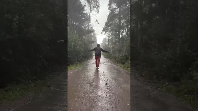 С Днем Рождения Мастер!!! смотреть онлайн
