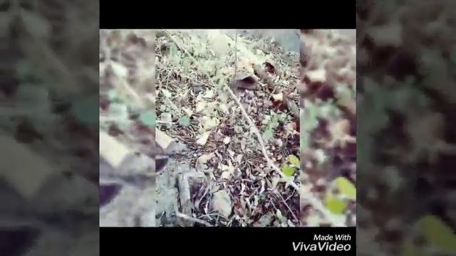 Иду на заброшенный дом) смотреть онлайн