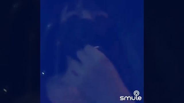 Чингис Раднаев - Уран Дуран (Buryat Song) (excerpt)