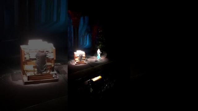 Одесский театр оперы и балета. Концерт органной музыки 24.11.2023 смотреть онлайн