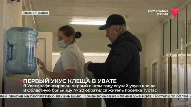 В Увате зафиксирован первый в этом году случай укуса клеща смотреть онлайн