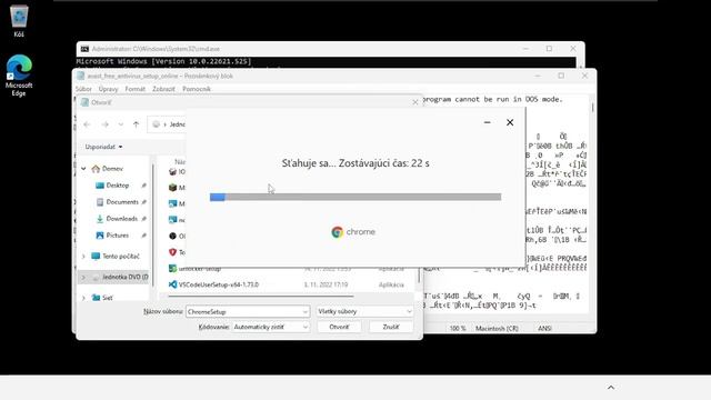 Používam Windows 11 bez prihlásenia! смотреть онлайн