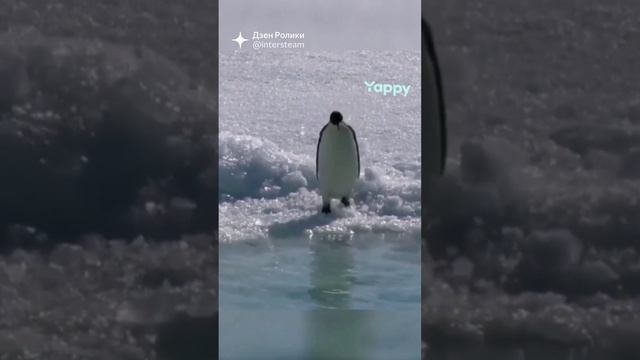 Немного юмора смотреть онлайн