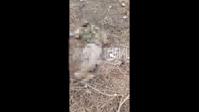 ⚡️СВО 18+ Молчиливые ВСУшники с Курской области. смотреть онлайн