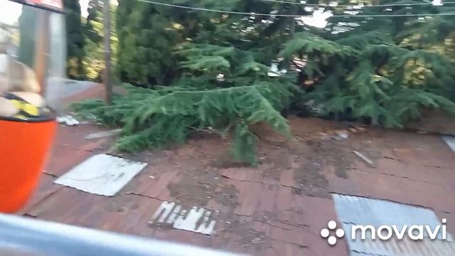 Поездка на канатной дороге Ялты от нижней станции "Ялта" до верхней станции "Горка" 27.07 2020 смотреть онлайн