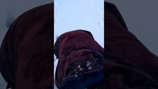 Рыбалка на жерлицы 1.02.2018 смотреть онлайн