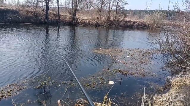 Речное серебро, скучать некогда.