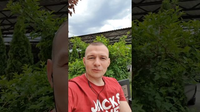 Мифы о Питании | Вред Мяса | Вегетарианство #саморазвитие