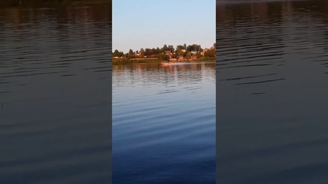 Погоня за Браконьерами смотреть онлайн