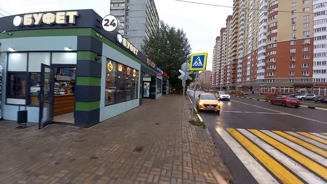 Балашиха (обзорное)