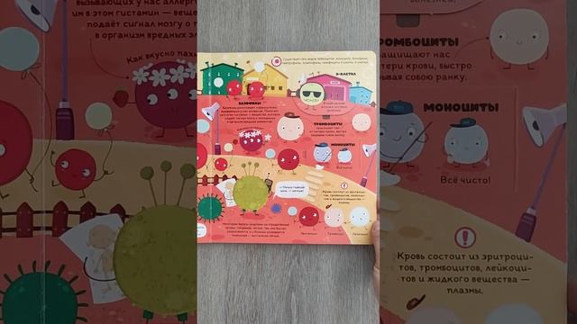 Видеообзор книги "Вирусы и бактерии. Что мы о них знаем?" Просто и интересно для детей смотреть онлайн