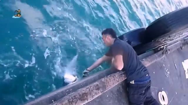 Мегабасс х140