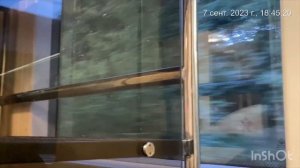 Поездка на Аэроэкспрессе от Павелецкого вокзала Москвы до Аэропорта Домодедово