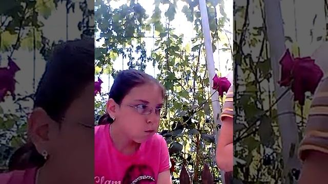 Капсулы от киндера Kinder смотреть онлайн