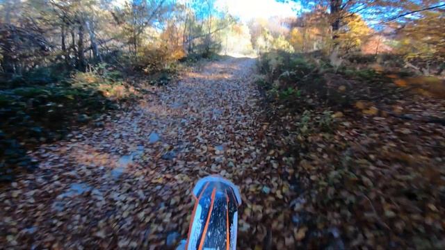 Ktm Autumn Ride. Exc 350, Exc 300 tpi, Exc 500. Enduro/Ендуро Закарпаття Карпати Эндуро Закарпатье смотреть онлайн