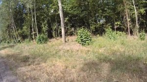 Взял сына на рыбалку.Не то озеро.Часть первая.