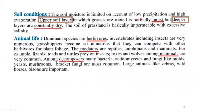 2nd year Biology| chapter #26 |Ecosystem |Complete Chapter|Imp Short Questions(2) смотреть онлайн