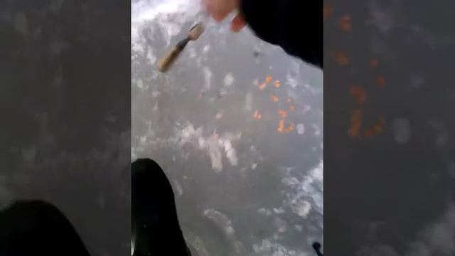 Бешеннный клёв хариуса на махалку.