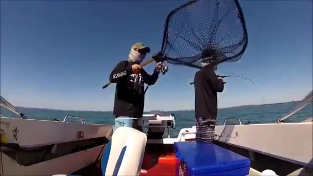 Jigging Jewie In More Ton Bay