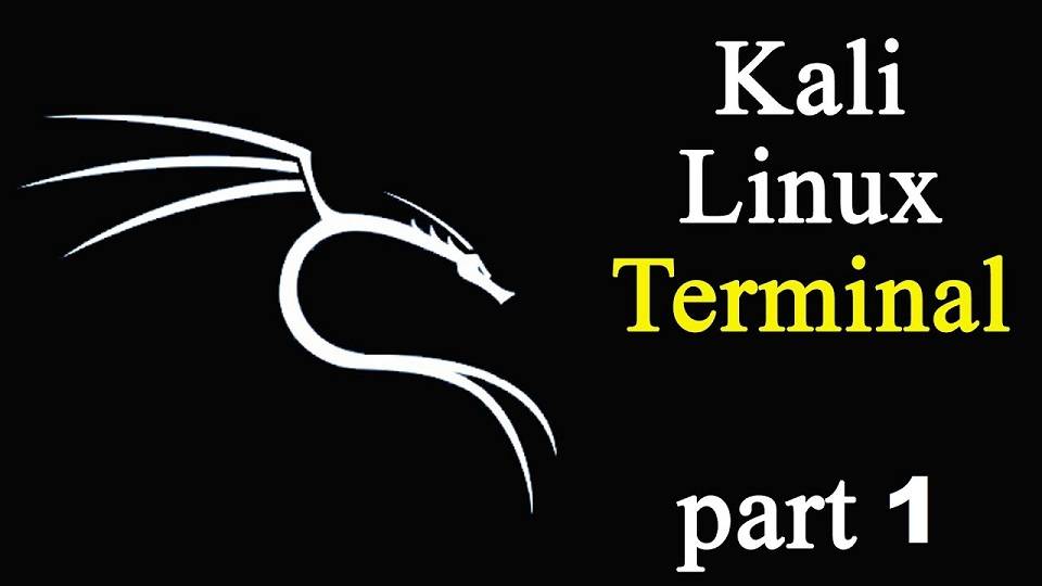 ТЕРМИНАЛ в КАЛИ ЛИНУКС ч.1 смотреть онлайн