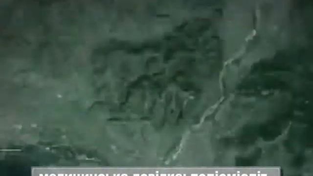 сюжет дня полиомиелит вр1 45 смотреть онлайн